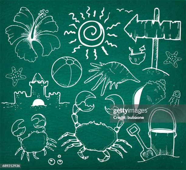 beach and summer vector hand drawings on green chalk board - beach shell texture stock illustrations