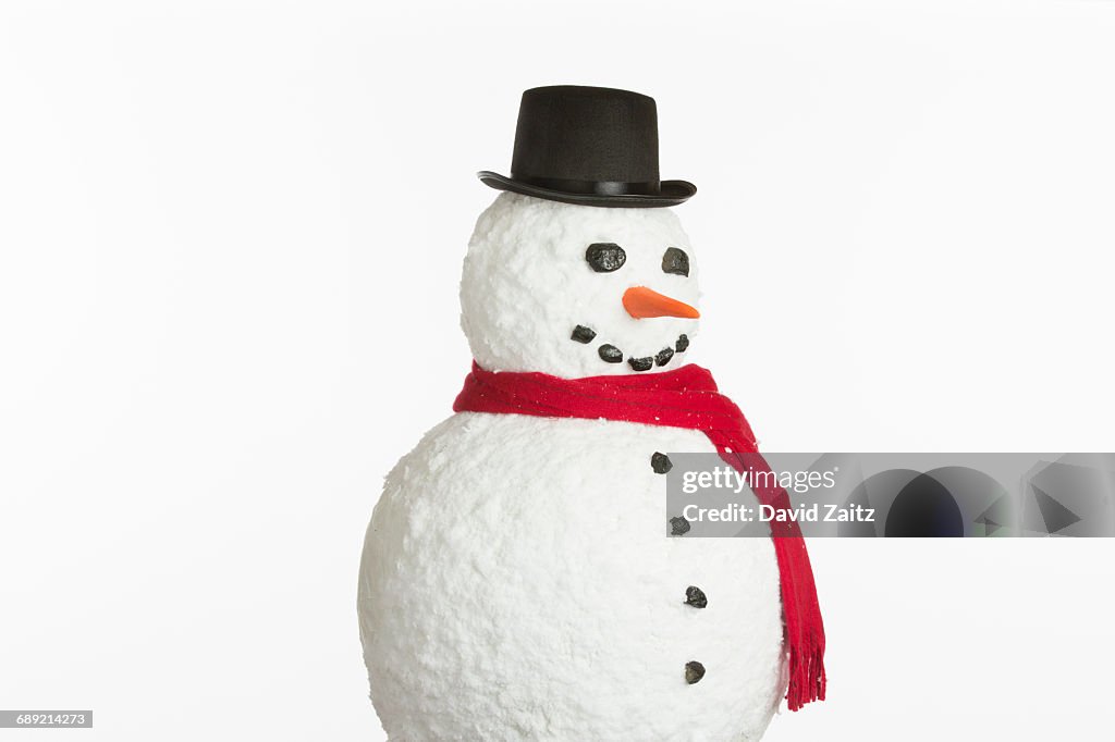 Snowman on white background