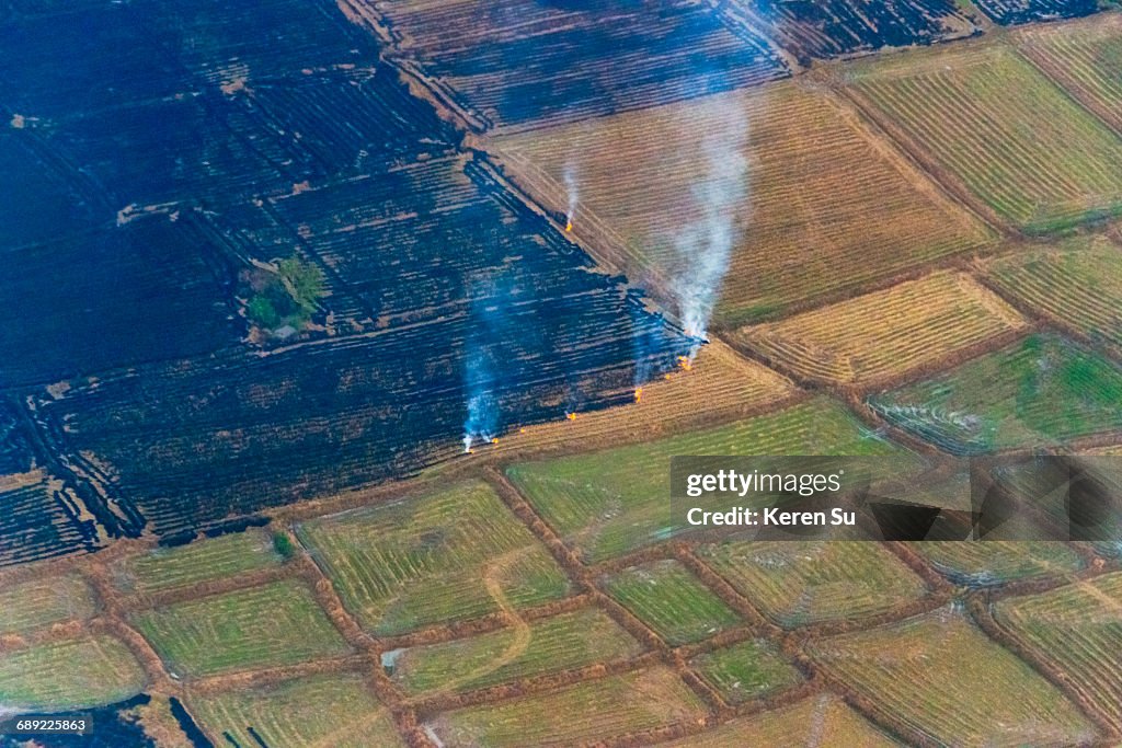 Aerial view of farmland