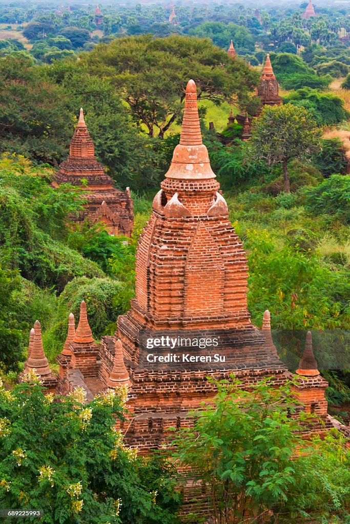 Ancient temples and pagodas in the forest