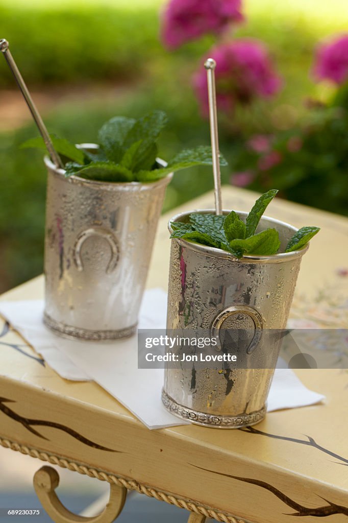 Mint Julep in Kentucky Derby Style Metal Cup