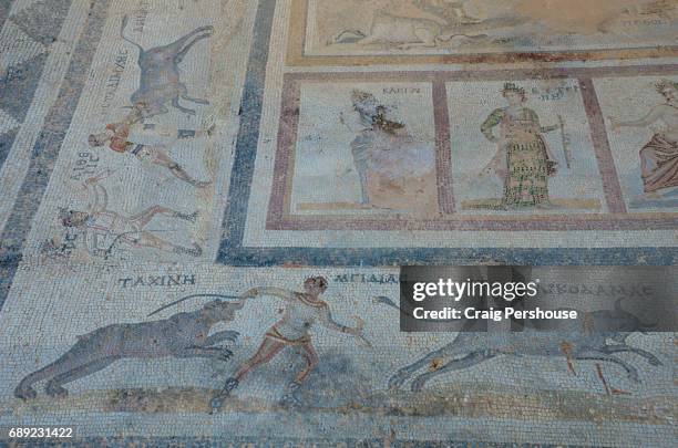 ancient roman mosaic in the house of europa, at the western excavation site. - ancient roman mosaics stock-fotos und bilder