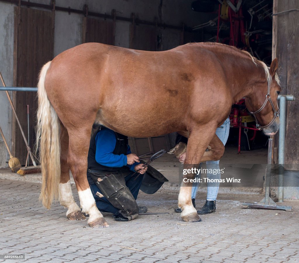 Fitting a horseshoe