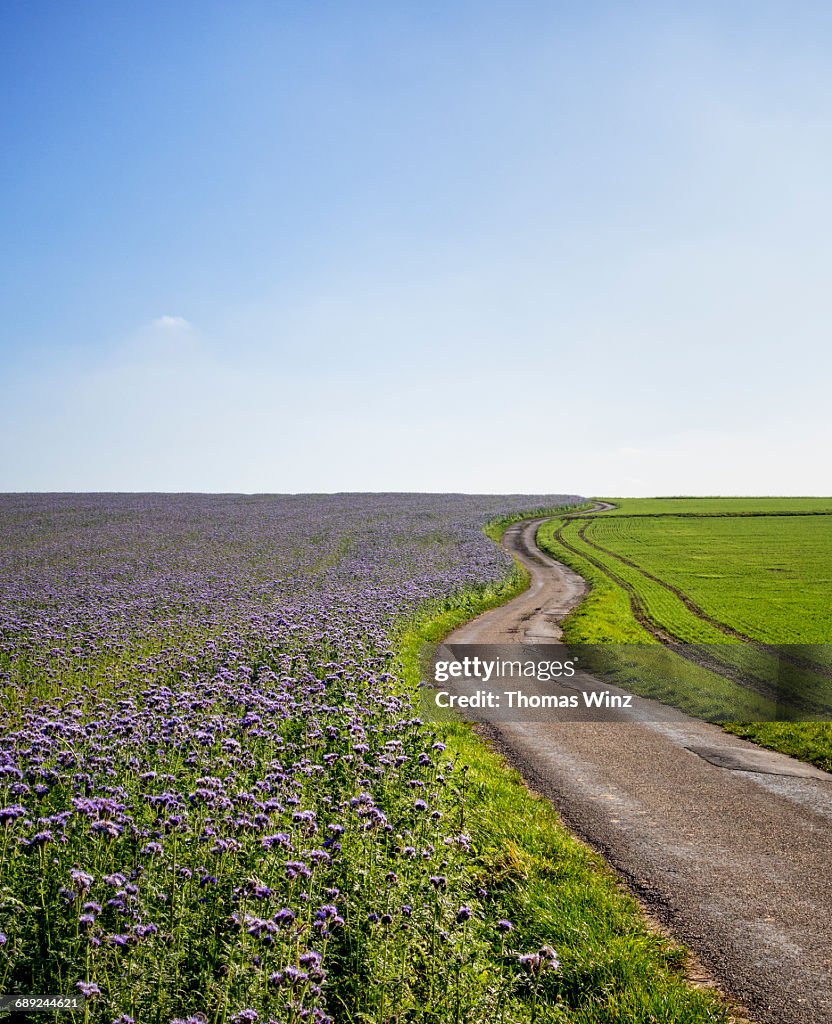 Winding road