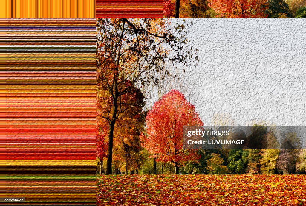 Autumn parc with horozontal color stripes