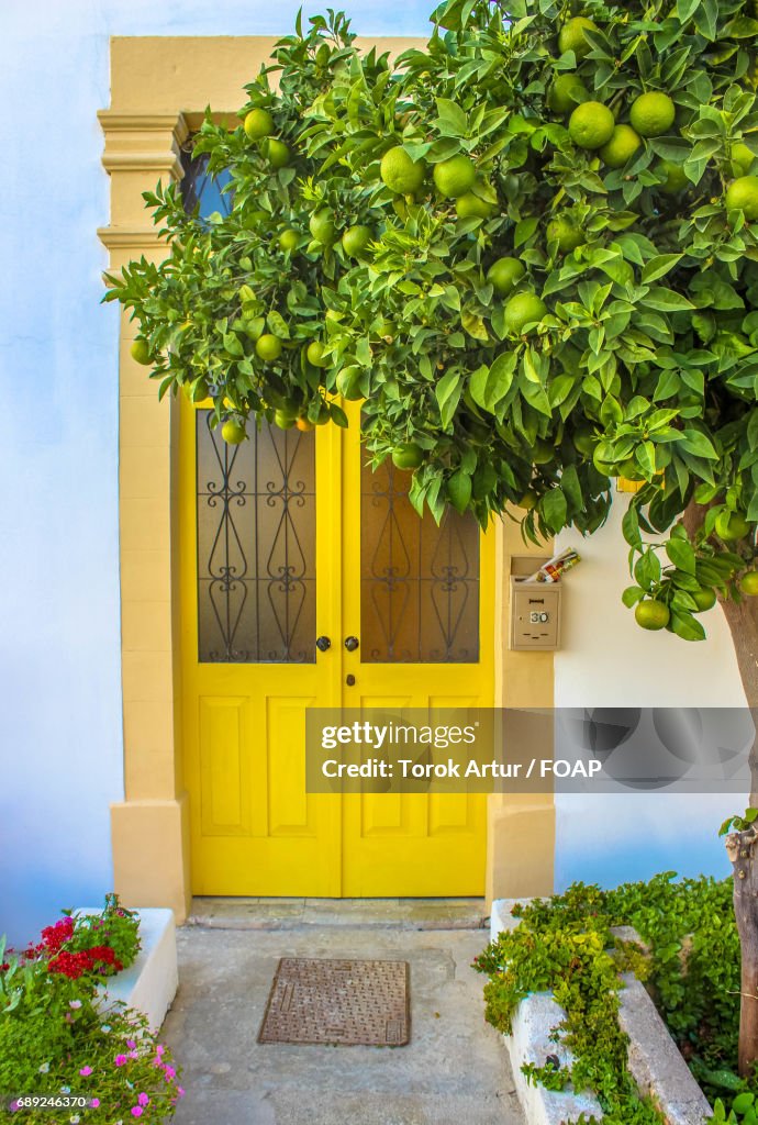 Closed yellow door of house amidst trees