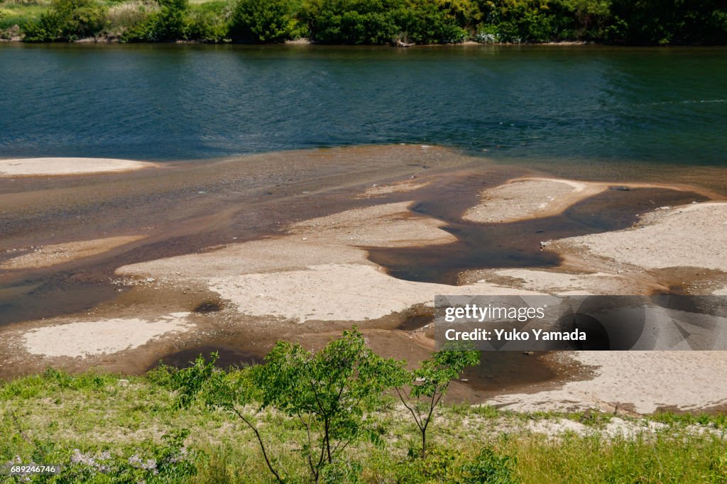 Riverbank at Low Tide, Hiroshima, Japan