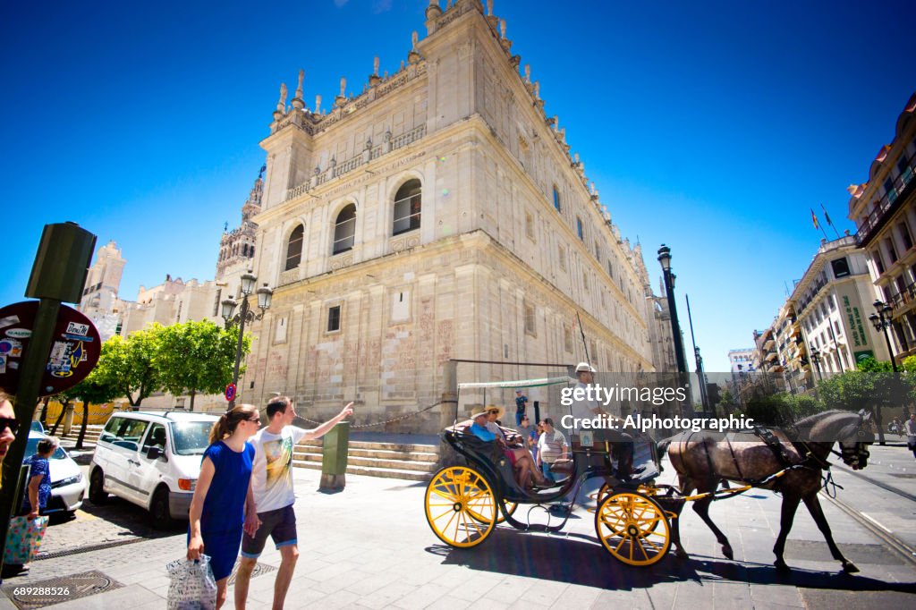 Caballos y carruajes con los turistas