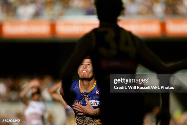 Nathan Vardy of the Eagles contests a ruck during the round 10 AFL match between the West Coast Eagles and the Greater Western Giants at Domain...