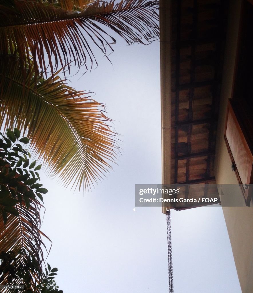 Low angle view of a house and tree