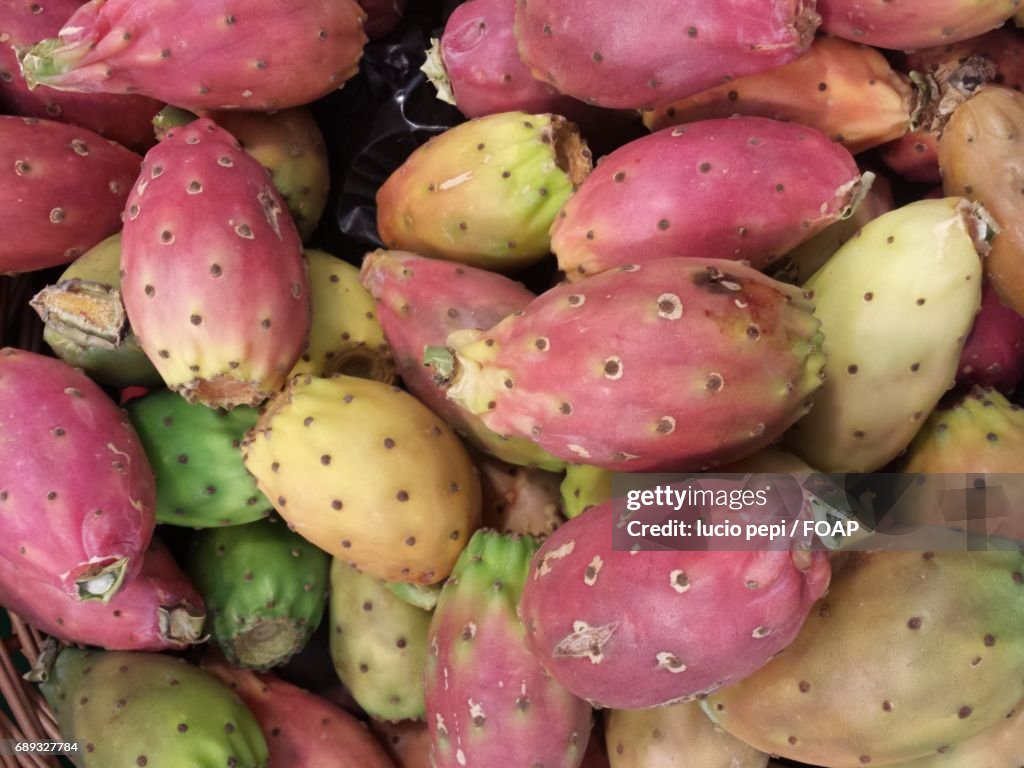 Full frame shot of prickly pear cactus