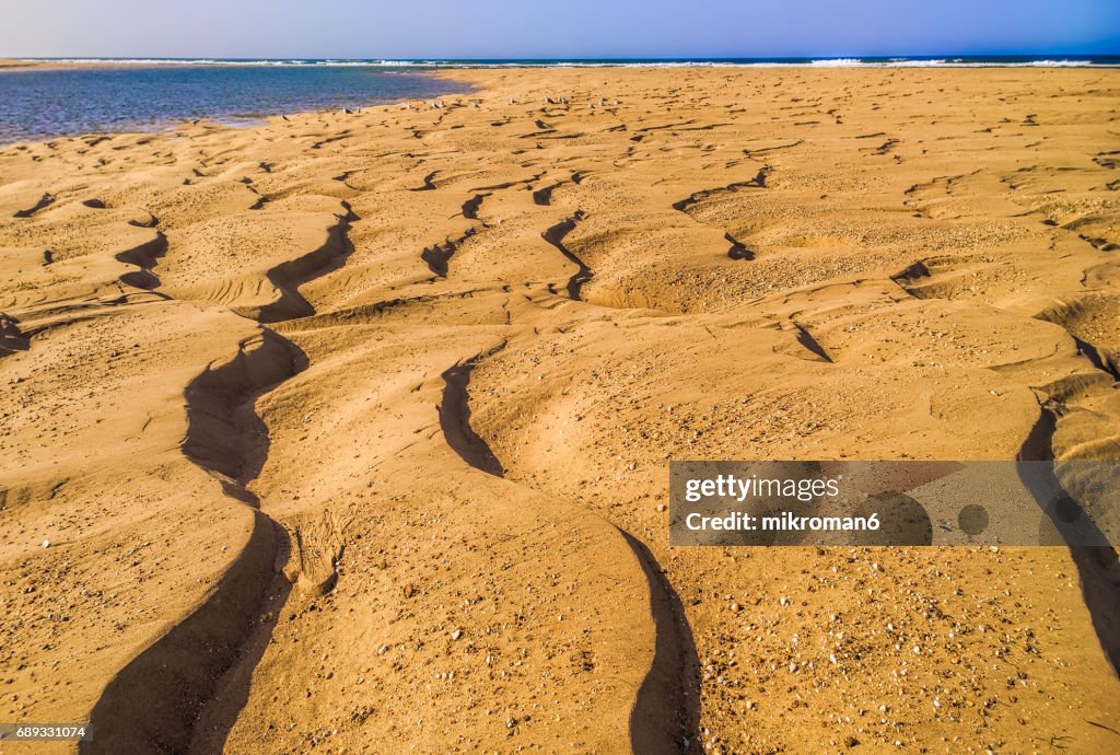 Sand dune in Faro beach on hot summer day. Praia de Faro, Faro, Portugal