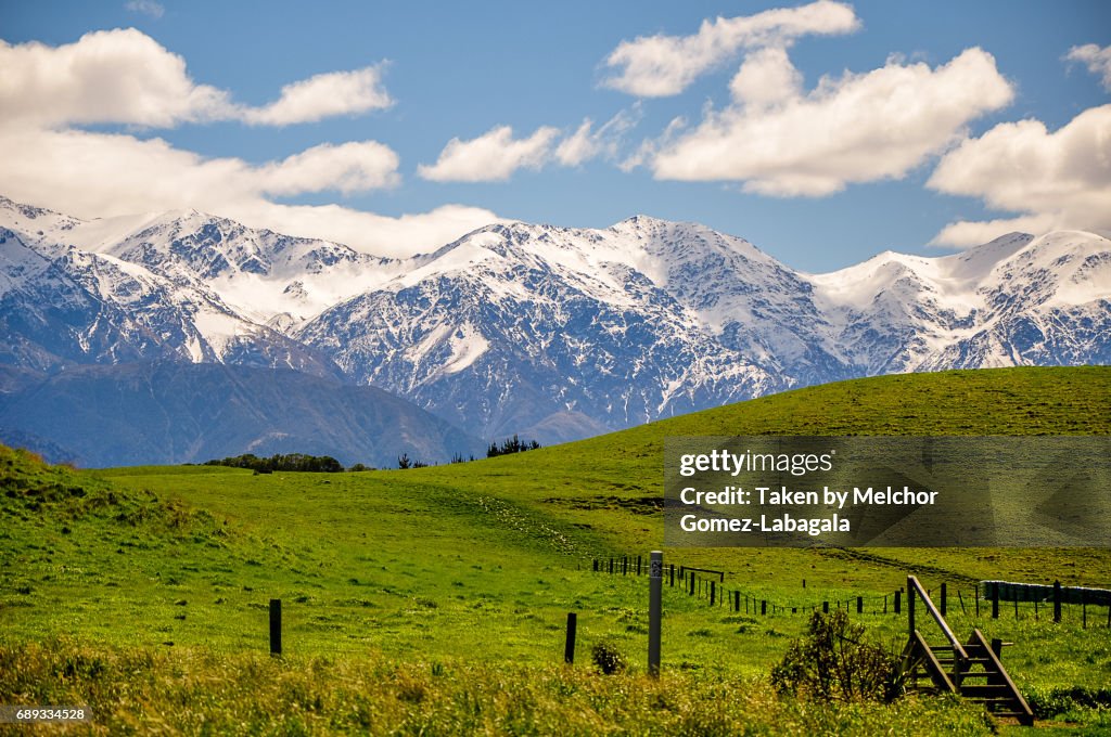 Kaikoura Green Fields