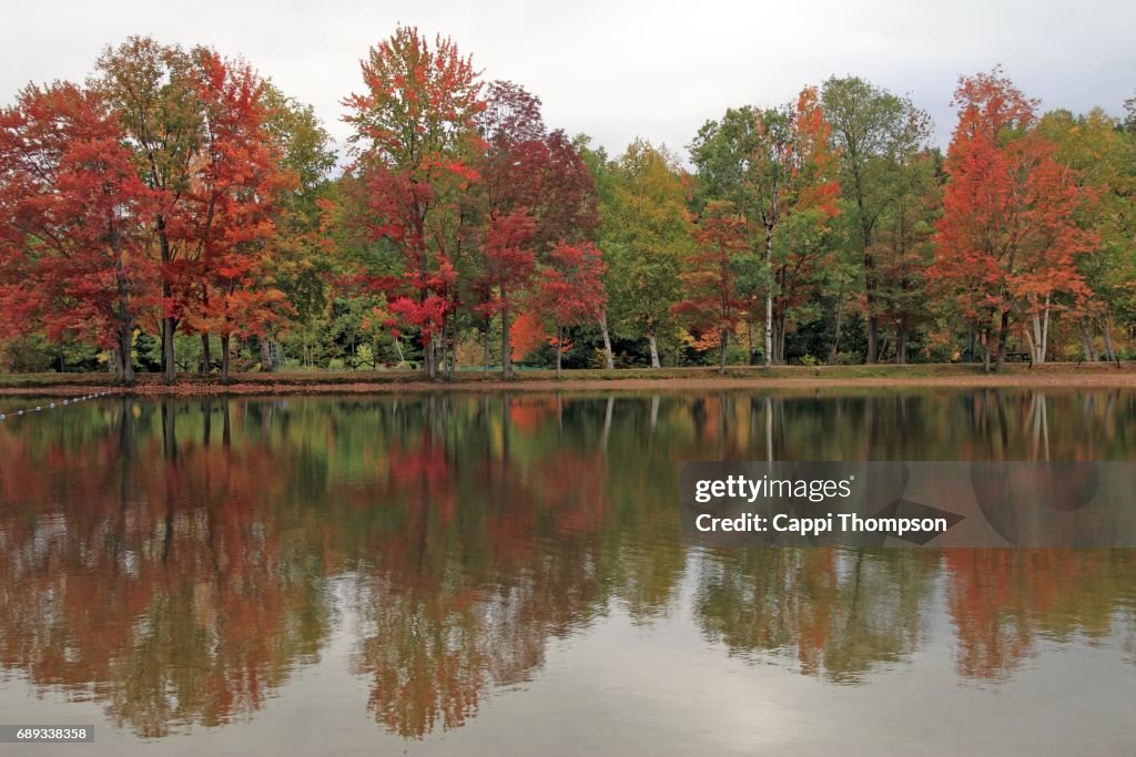 Shoreline reflections during fall