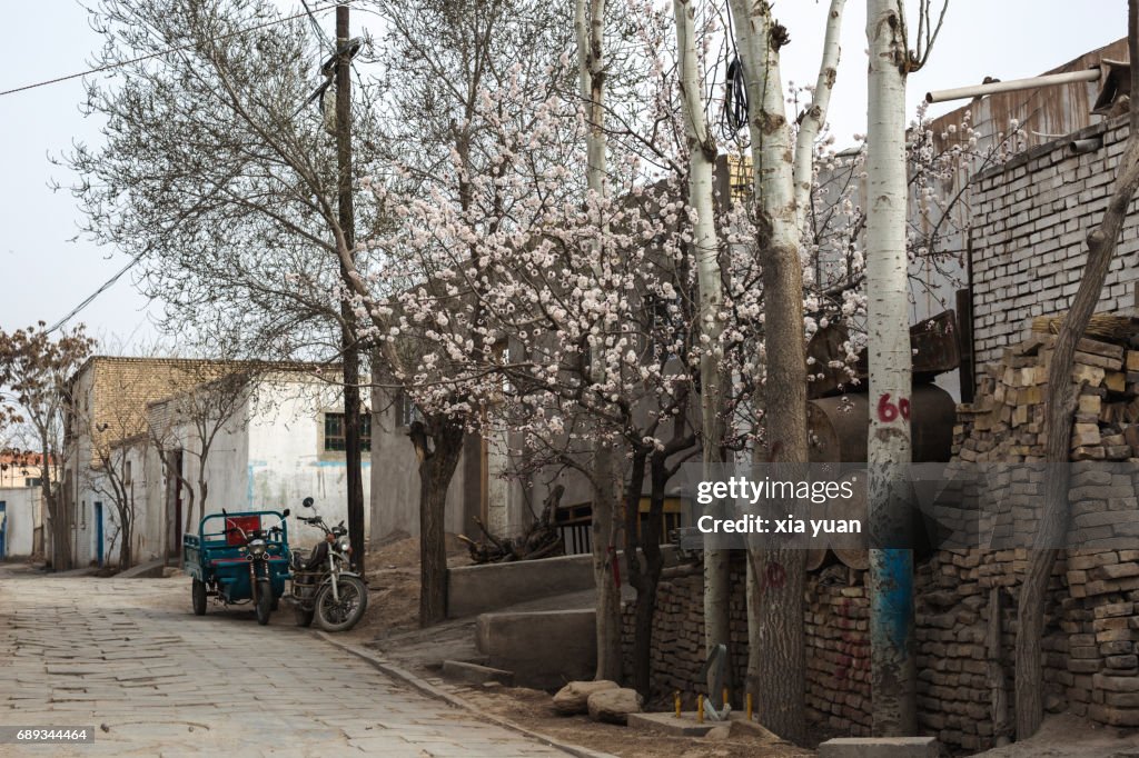 Empty alley at Kuqa's Old Town,China