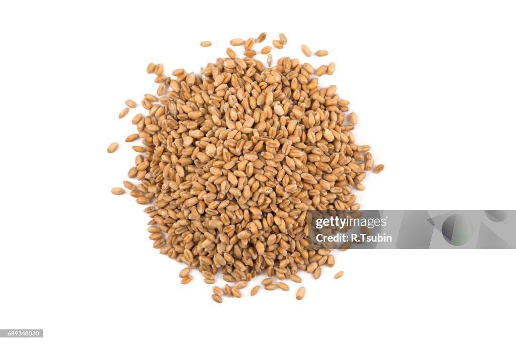 Wheat grain on white