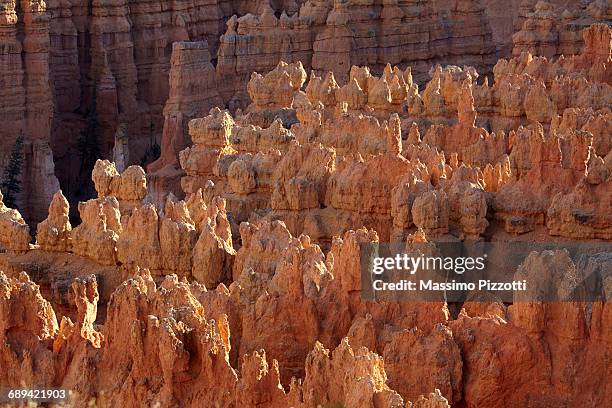 rocks conformation at bryce canyon - massimo pizzotti stock pictures, royalty-free photos & images