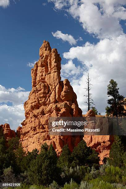 red canyon, utah - massimo pizzotti stock pictures, royalty-free photos & images