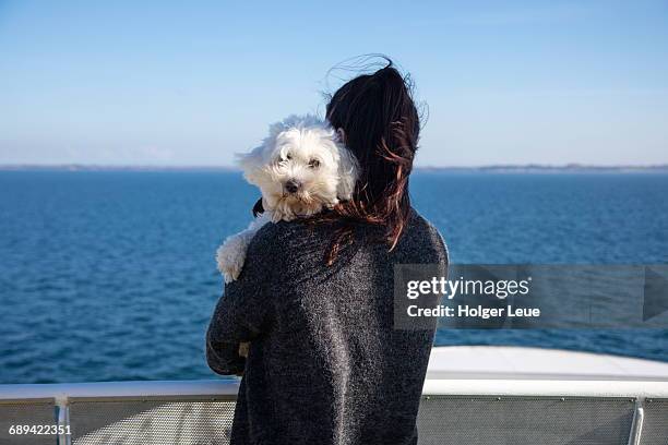woman holds little white dog during ferry crossing - fähre stock-fotos und bilder