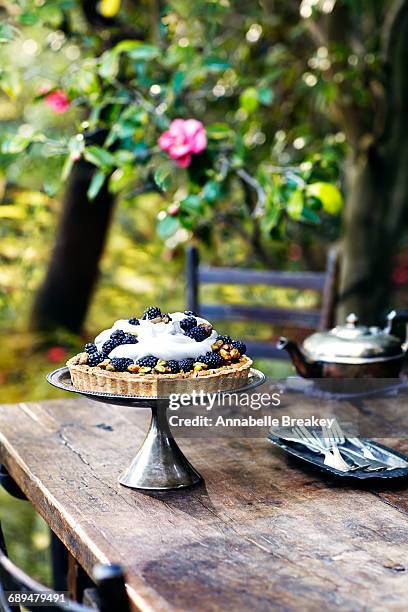 garden tea party with blackberry tart - veleiding stockfoto's en -beelden