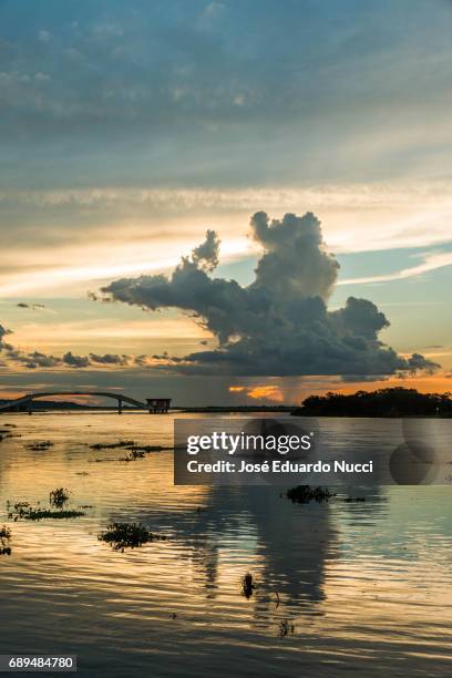 pantanal sunset - nuvem stock pictures, royalty-free photos & images