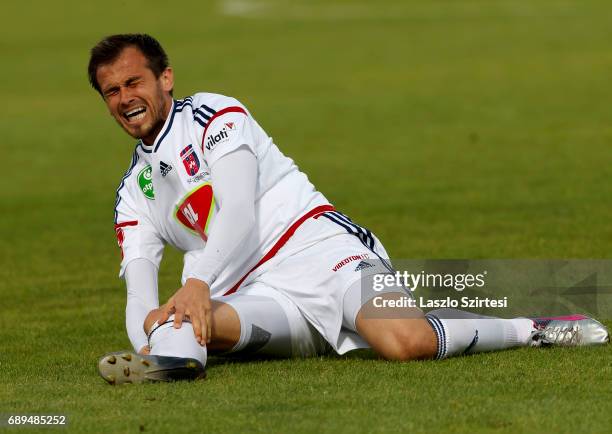 Danko Lazovic of Videoton FC is in pain during the Hungarian OTP Bank Liga match between Budapest Honved and Videoton FC at Bozsik Stadium on May 27,...
