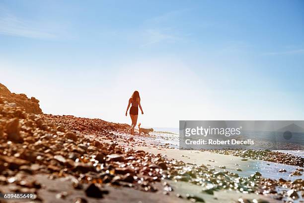 young woman and dog strolling along the seashore - isle of wight stock pictures, royalty-free photos & images