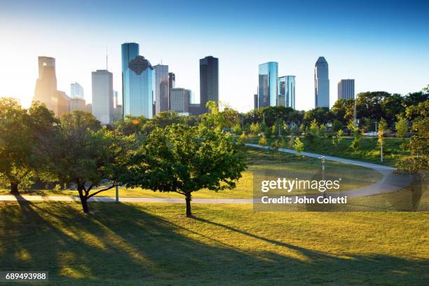 houston, texas - houston stock pictures, royalty-free photos & images