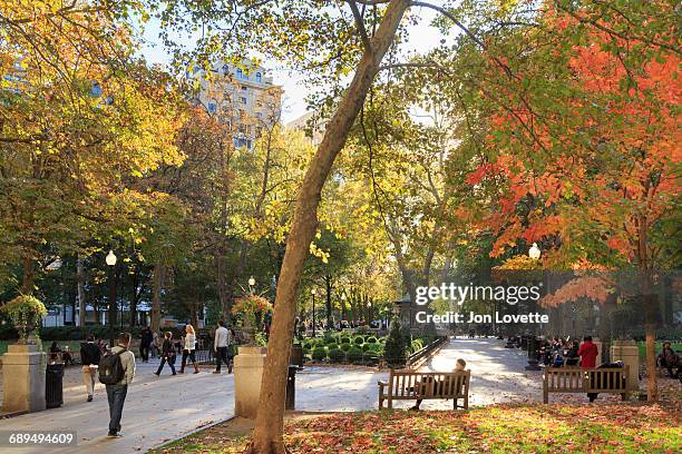 rittenhouse square philadelphia - rittenhouse square philadelphia photos et images de collection