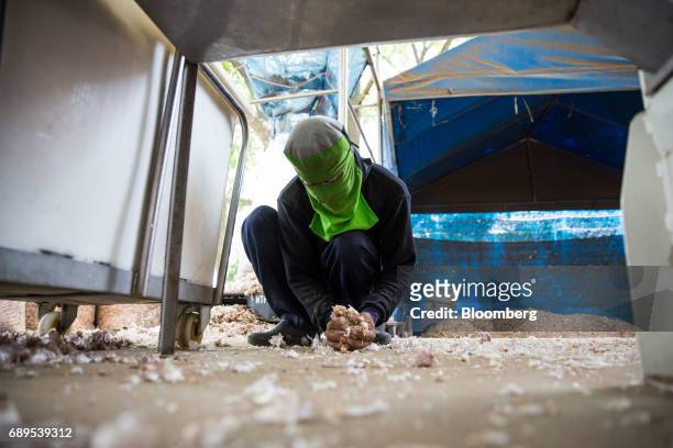 Worker collects garlic skins from the ground at a Nithi Foods Co. Factory in the San Pa Tong district of Chiang Mai, Thailand, on Tuesday, May 23,...