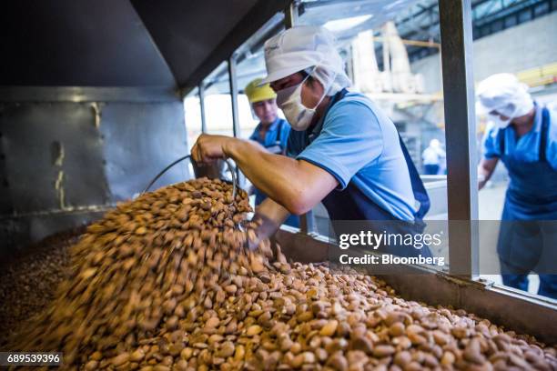 Garlic is scooped from a dehydrating oven at the Nithi Foods Co. Factory in the San Pa Tong district of Chiang Mai, Thailand, on Tuesday, May 23,...