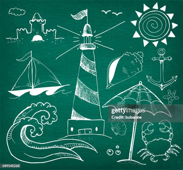 beach and summer vector hand drawings on green chalk board - beach shell texture stock illustrations