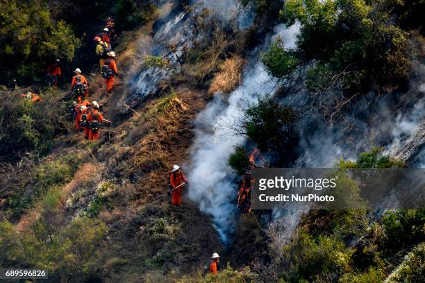Firefighters battle a wildfire in Mandeville Canyon in Los Angeles, California on May 28, 2017. More than 150 firefighters battle the fire that burns...