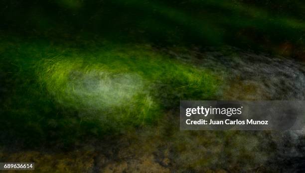 designs on the river, guadalix river, guadalix de la sierra, spain, europe - force de la nature stock pictures, royalty-free photos & images