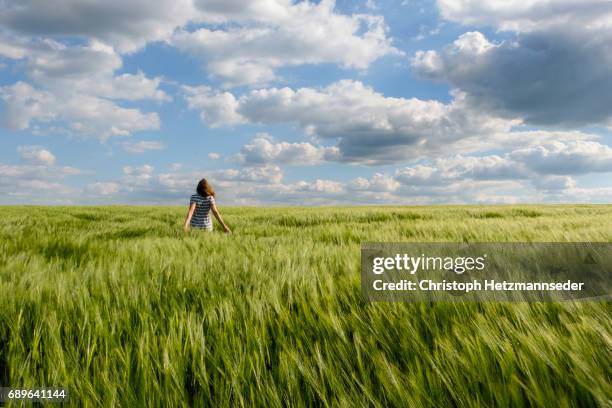 windy - long hair wind stock pictures, royalty-free photos & images