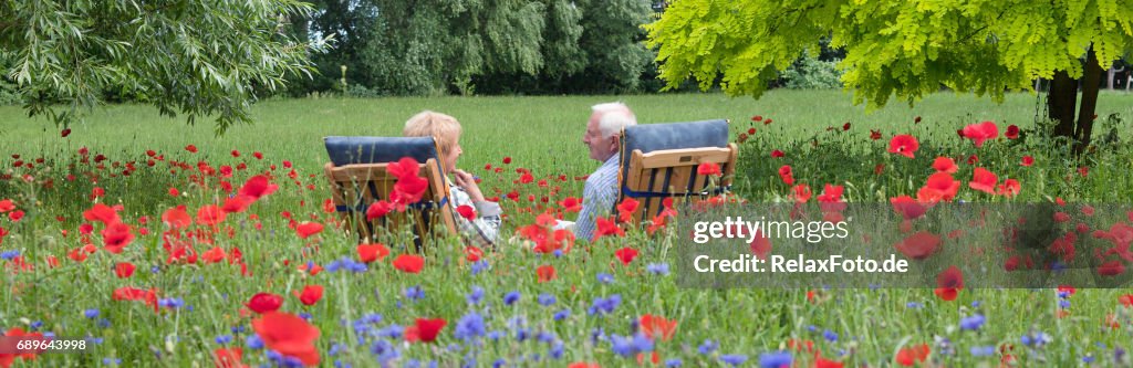 Casal sênior, sentado na cadeira de jardim em florescência Prado