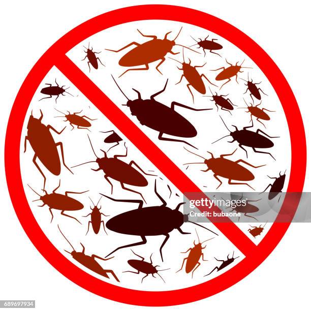terminator cockroach vector icon pattern - infestation stock illustrations
