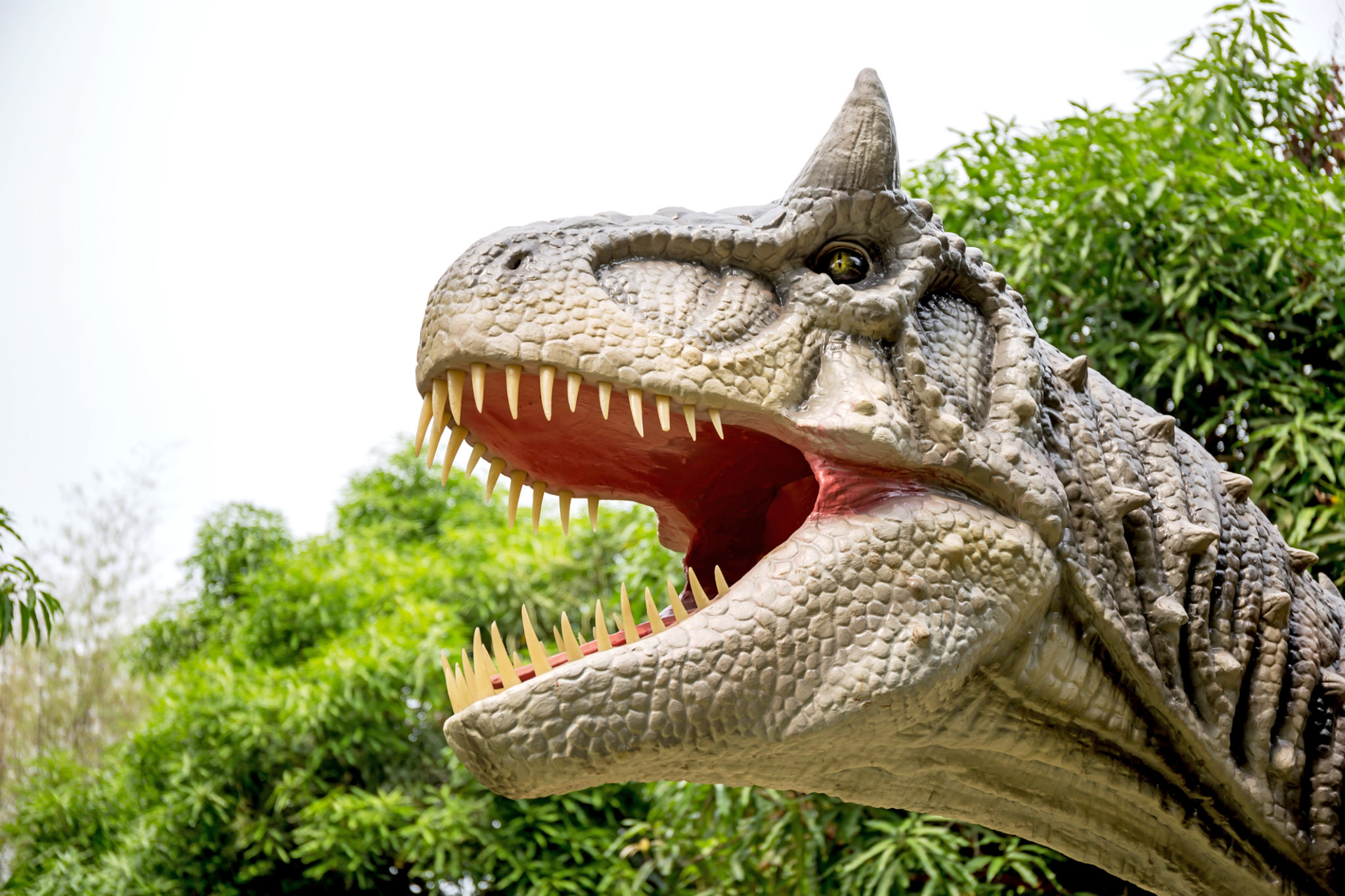 Dinosaur carnotaurus and monster model Dinosaur carnotaurus and monster model