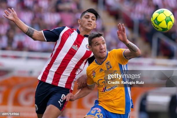 Alan Pulido of Chivas fights for the ball with Jesús Dueñas of Tigres during the Final second leg match between Chivas and Tigres UANL as part of the...