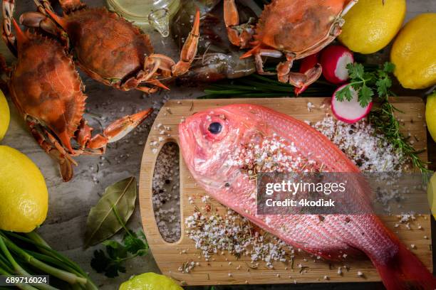 fresh snapper with salt and spices - snapper fish stock pictures, royalty-free photos & images