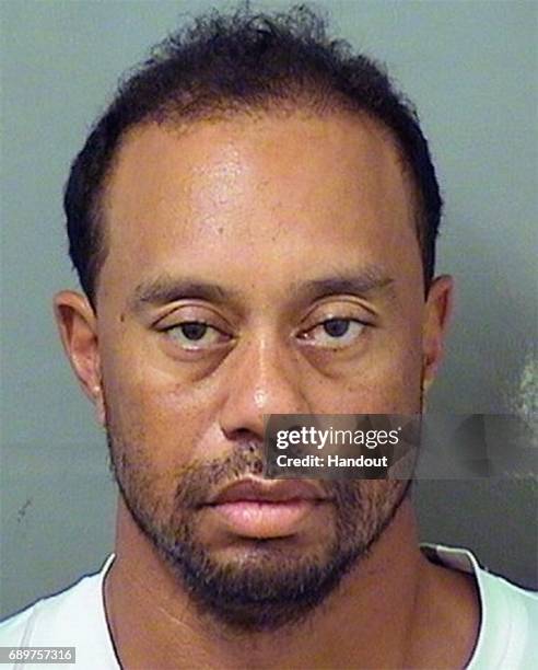 In this handout photo provided by The Palm Beach County Sheriff's Office, golfer Tiger Woods is seen in a police booking photo after his arrest on...