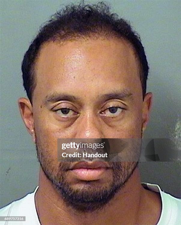 Tiger Woods Booking Photo