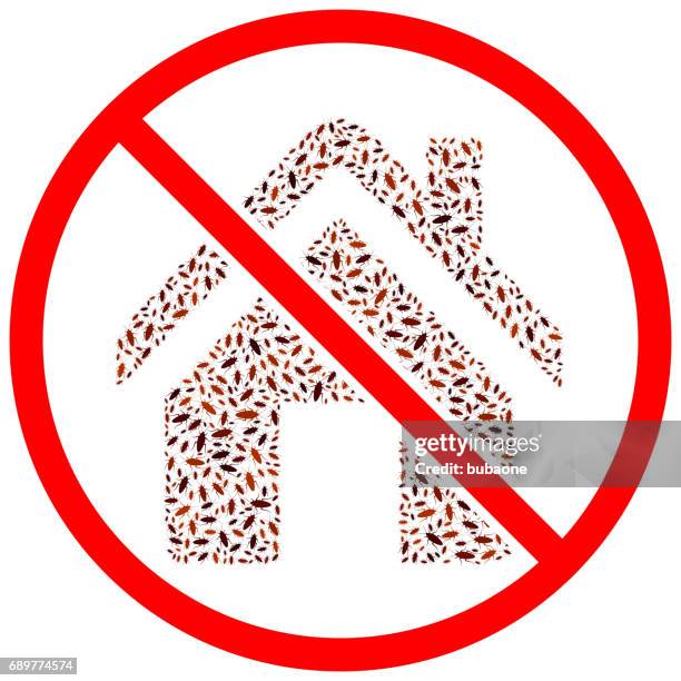 home cockroach vector icon pattern - infestation stock illustrations