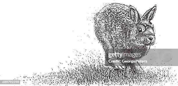 2点のうさぎ 走るイラスト素材 Getty Images 2点のうさぎ 走るイラスト素材 Getty Images