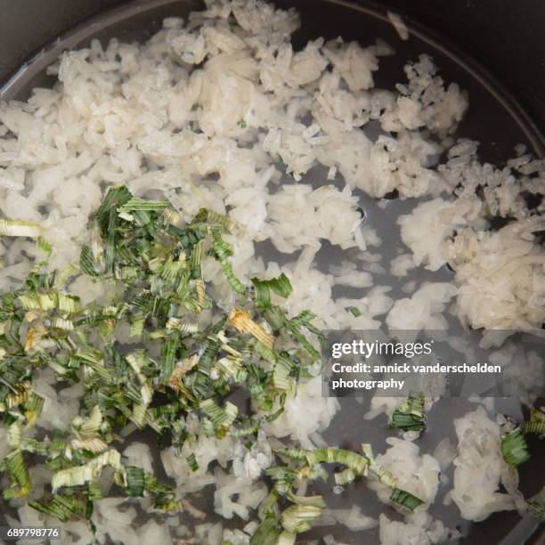 Sticky Rice Water Rice Cooking In Water Photos and Premium High Res Pictures - Getty Images