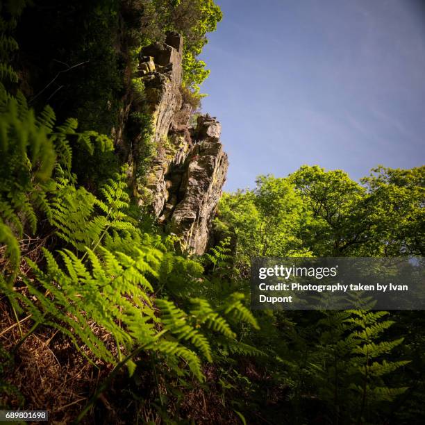 le rocher de bilisse - randonnée pédestre stock pictures, royalty-free photos & images