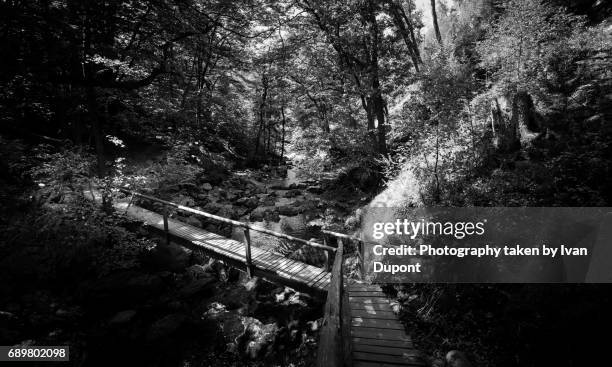 la vallée de la hoëgne - randonnée pédestre stock pictures, royalty-free photos & images