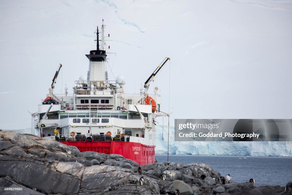 Antarctica: MS expeditie op poort Lockroy
