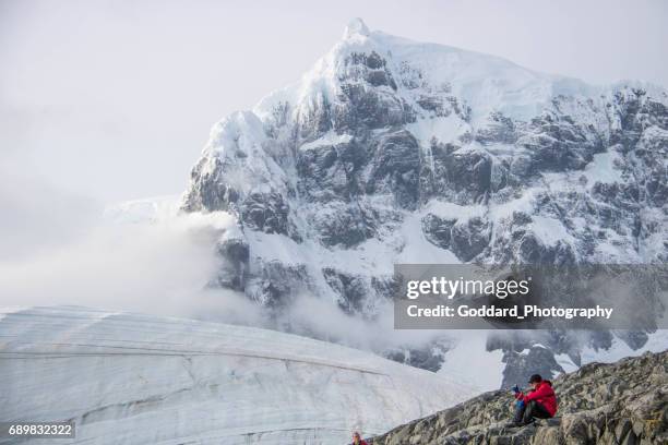 antarctica: jougla punt - eilandengroep palmer stockfoto's en -beelden
