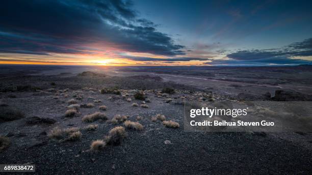 desert hills during sunset with plants in the foreground in pintado point, petrified forest national park, arizona - arizona mountains stockfoto's en -beelden